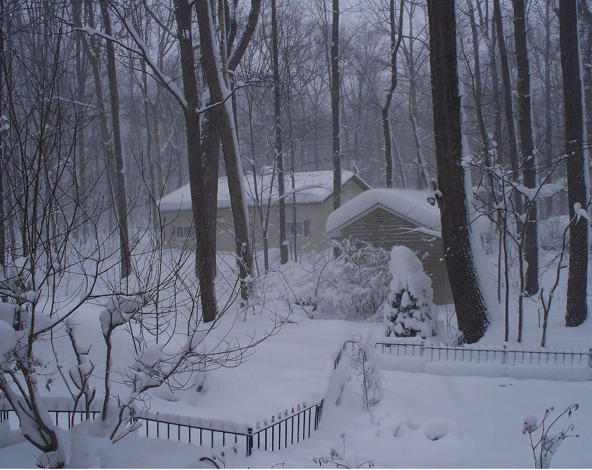 Bear House Bed And Breakfast Dover Екстер'єр фото